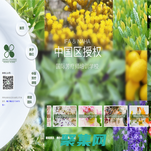 梓燁國際芳療學院AROMA CHANNEL