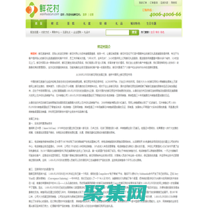 鮮花村-鮮花速遞專家，您貼心的送花使者！