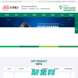 大洋電力科技集團有限公司