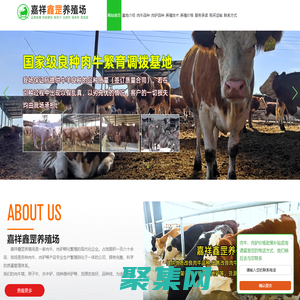 肉牛養殖_肉驢養殖_本地廠家供應_嘉祥鑫罡養殖場_官網