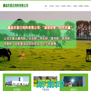 肉粉|羽毛粉|水解羽毛粉|血粉-鑫益農蛋白飼料有限公司