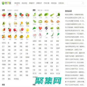 優農業 - 為鄉村振興提供智慧和力量