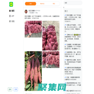 農貿人農產品批發網 - 蔬菜水果批發采購信息平臺