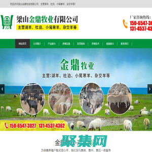 梁山金鼎牧業有限公司_湖羊,杜波綿羊,波爾山羊,黑山羊,青山羊,小尾寒羊