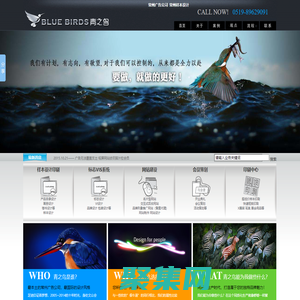常州廣告公司-常州市青之鳥設計
