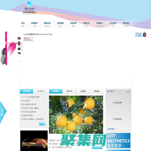 中國美術學院望境創意發展有限公司