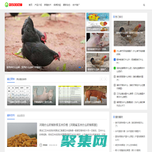 云南省種畜推廣中心-優良種畜,種禽,選育,培育奶牛,肉牛,肉鴿,豬,雞,牧草