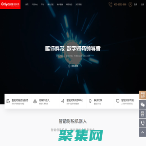 唯你科技-數字財務領導者