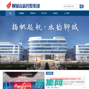 聊城高新控股集團有限公司
