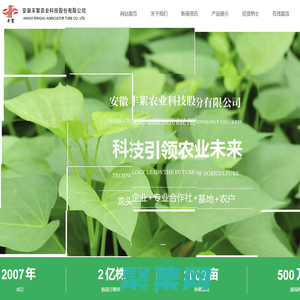 安徽豐絮農業科技股份有限公司【官網】