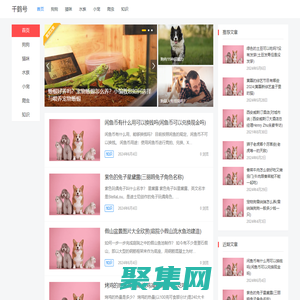 千鶴號 – 一個有用的愛寵知識網站