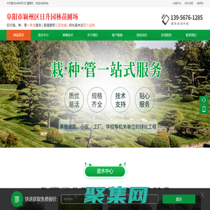 阜陽市潁州區日升園林苗圃場