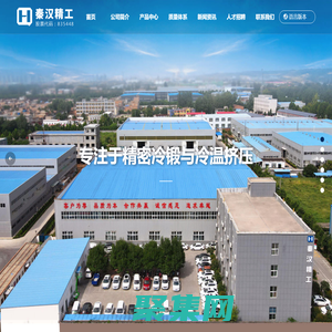 洛陽秦漢精工股份有限公司_精密冷鍛,溫鍛成型