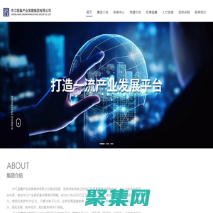 中江振鑫產業發展集團有限公司