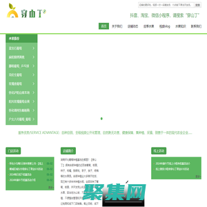 【穿山丁】-湖南應季水果_懷化水果特產.自家種植葡萄板栗_果園直采.一手鮮品