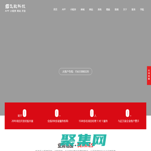 石家莊系統開發公司_石家莊系統開發_石家莊系統開發定制開發外包公司報價價格電話哪家好排行-推薦飛數科技