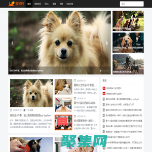 愛寵網 - 有愛有趣有用的寵物門戶網站！