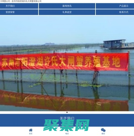 蘇州市陽澄湖許氏大閘蟹公司 - 蘇州市陽澄湖許氏大閘蟹有限公司