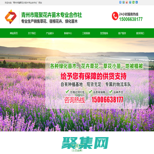 青州市隆聚花卉苗木專業合作社