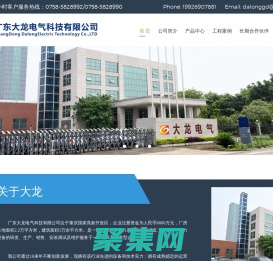廣東大龍電氣官網