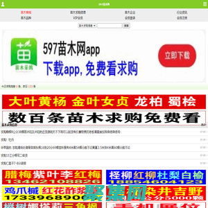 597苗木網|苗木求購信息_網上苗木app交易平臺