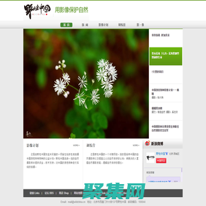 野性中國 · 用影像保護自然