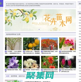 花卉苗木網_花草養殖_花語大全_養花知識_種花技巧