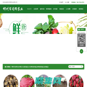 郴州市同輝農業有限公司_蔬菜配送公司|郴州食材配送|郴州蔬菜配送|食堂配送