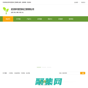 武漢新葉園藝綠化工程有限公司