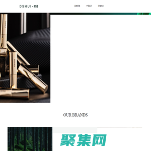 首頁-DSHUI官網