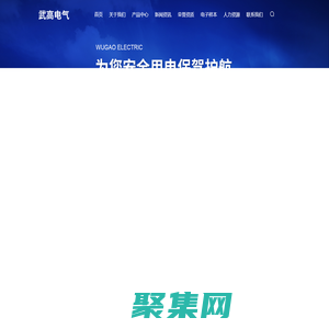 上海武高電氣集團有限公司