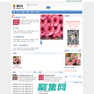 云南鮮花速遞網-懂花弟專注鮮花批發,鮮花價格,鮮花批發怎么找貨源,婚慶公司用花/花店/訂購/電話