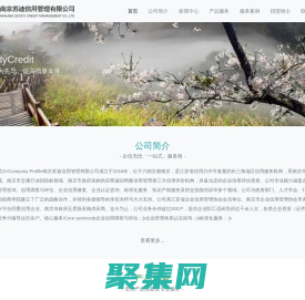 南京蘇迪信用管理有限公司-企信無憂一站式服務商！