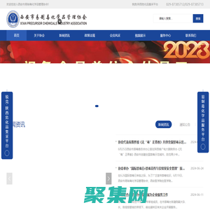 西安市易制毒化學品管理協會